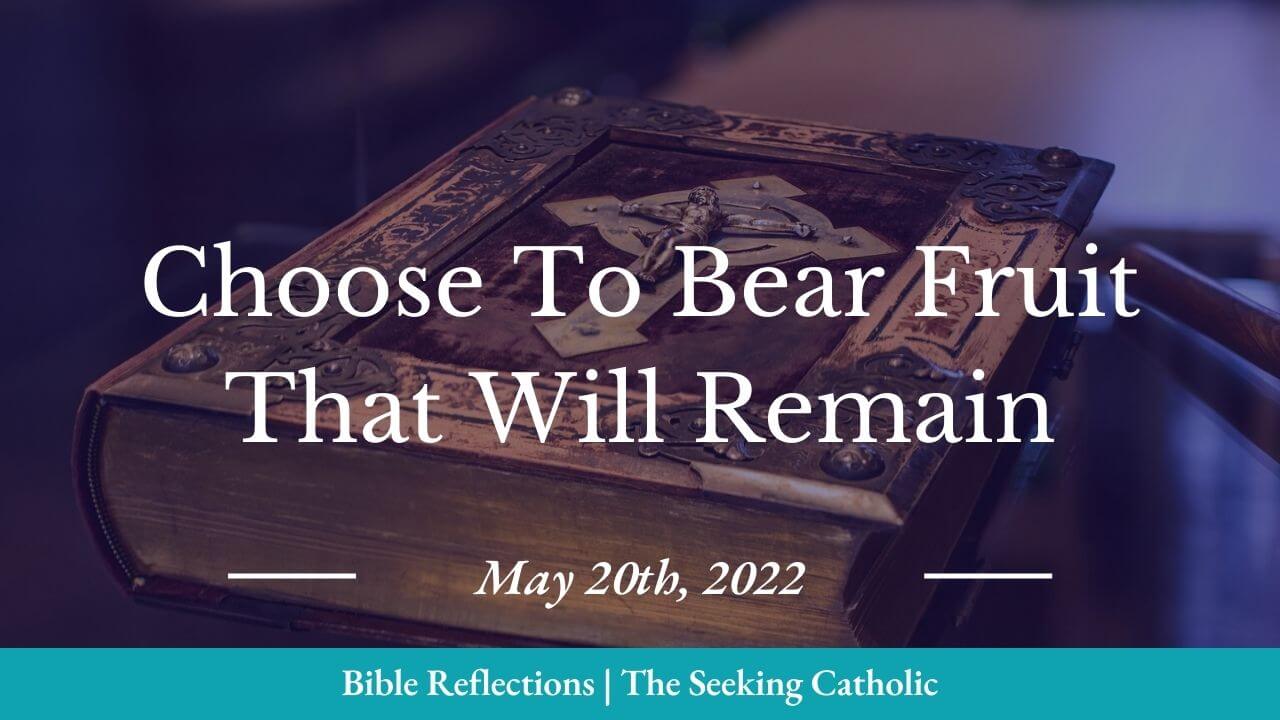 Thumbnail - Bible Reflections - bear fruit that will remain