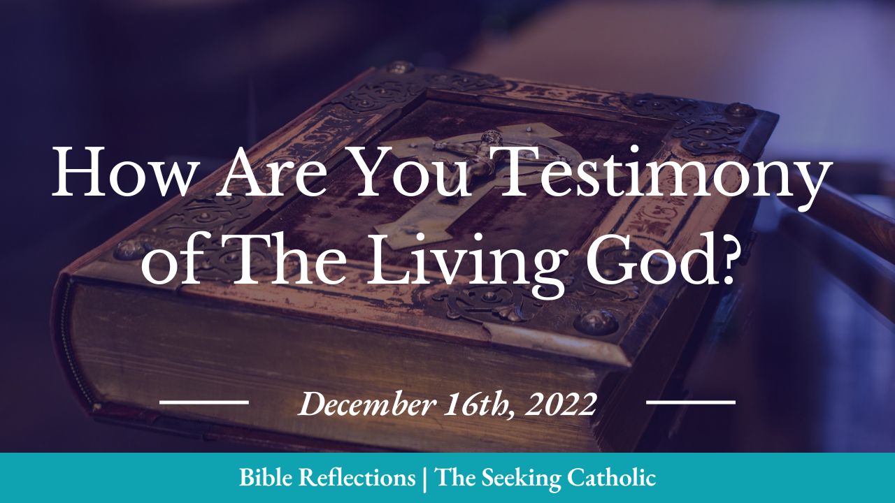 The Seeking Catholic - Bible reflections - How are you testimony of the living God?