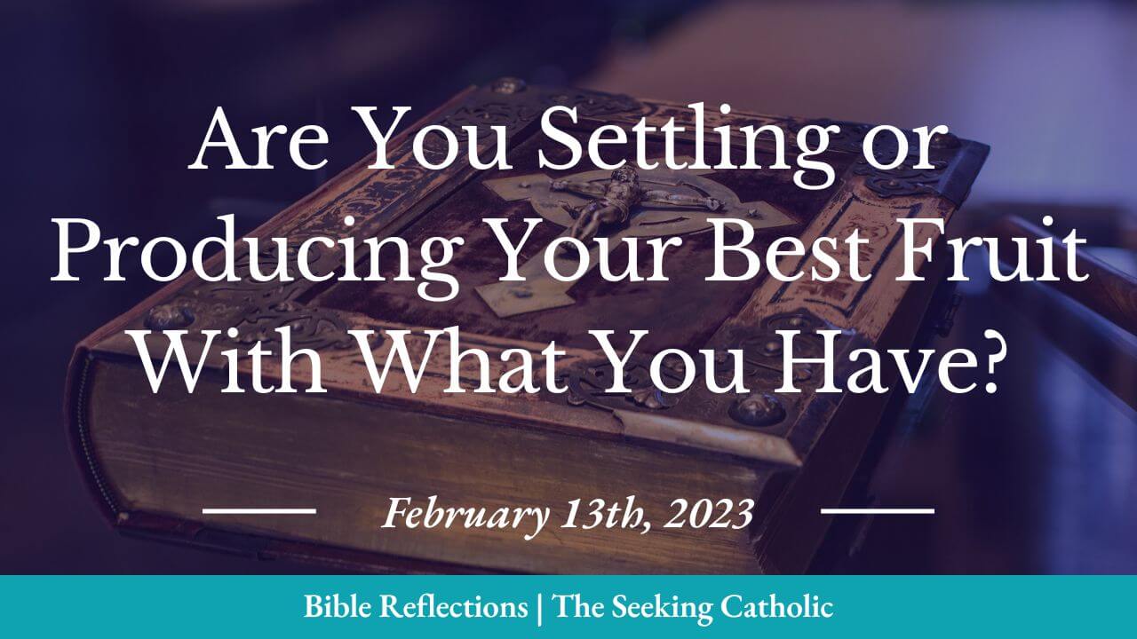 Bible Reflections - are you settling or producing your best